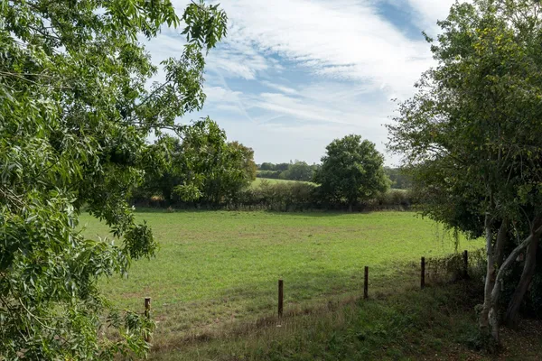 Bourne Road, West Bergholt, CO6 photo 4