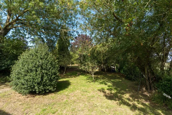 Bourne Road, West Bergholt, CO6 photo 27