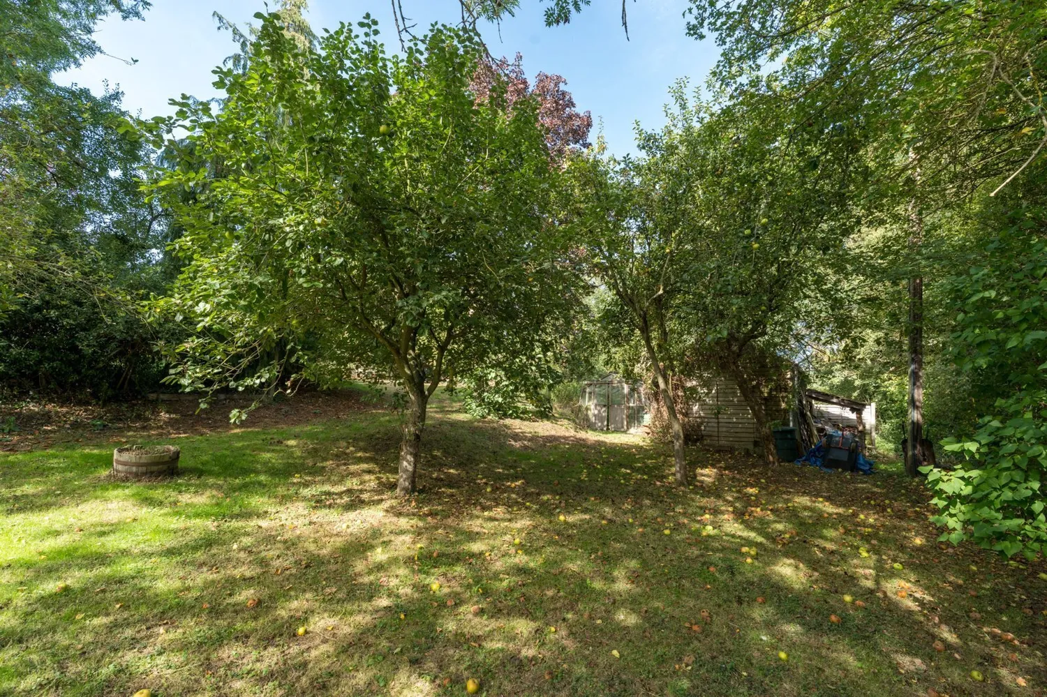 Bourne Road, West Bergholt, CO6 photo 29