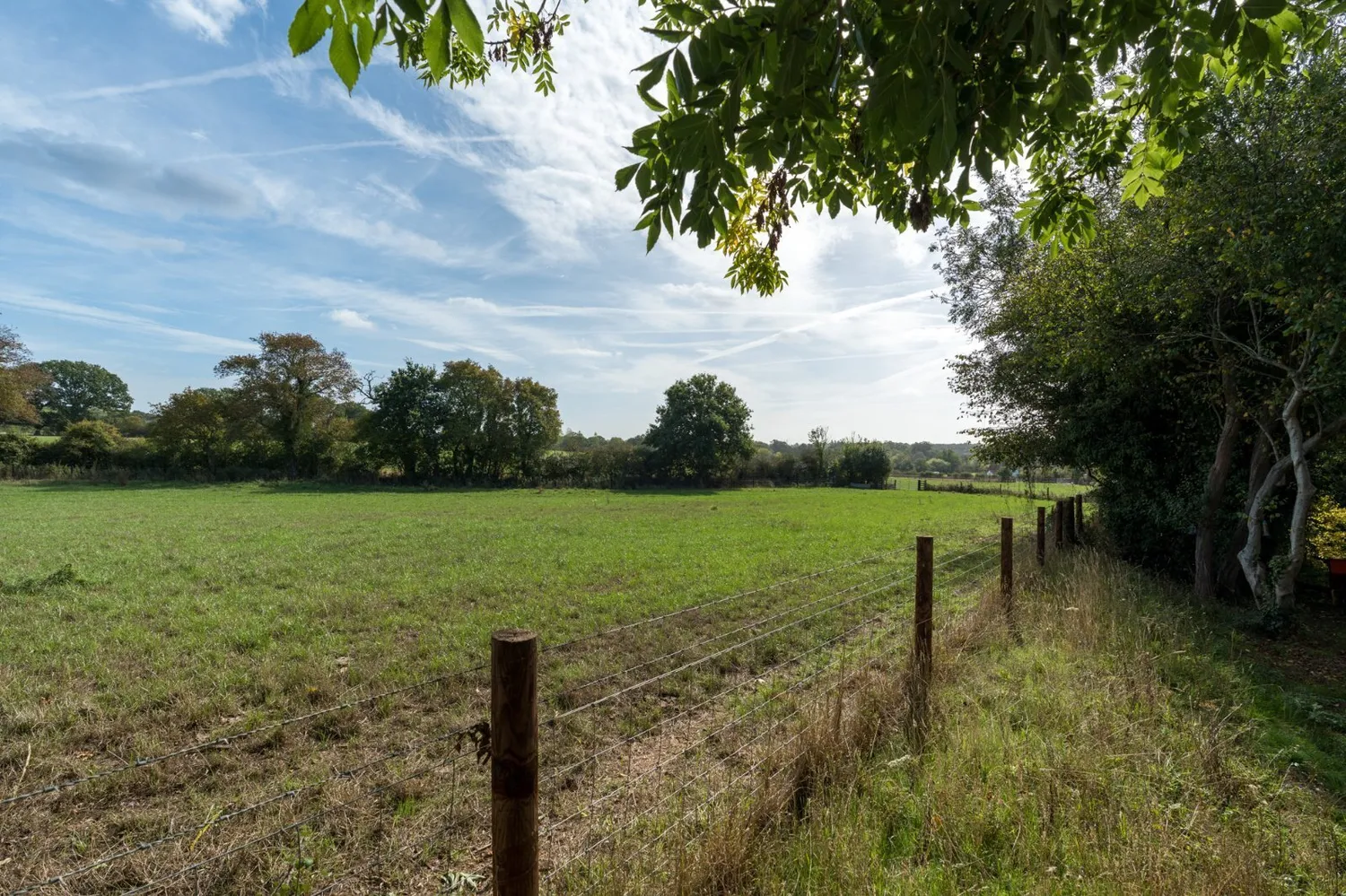 Bourne Road, West Bergholt, CO6 photo 32