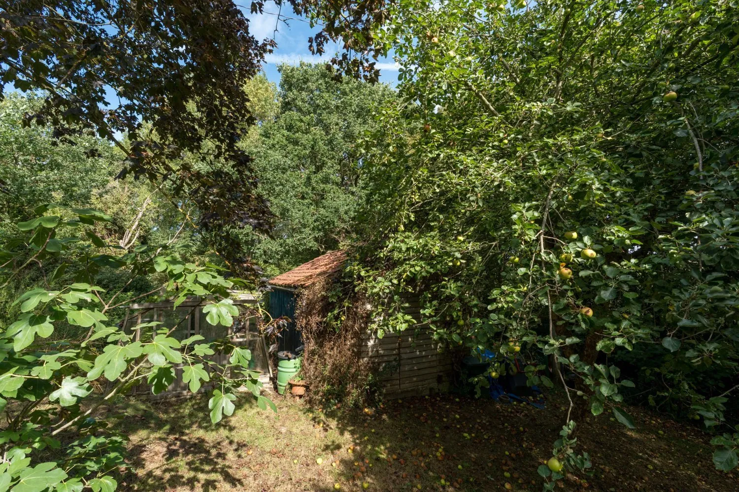 Bourne Road, West Bergholt, CO6 photo 33