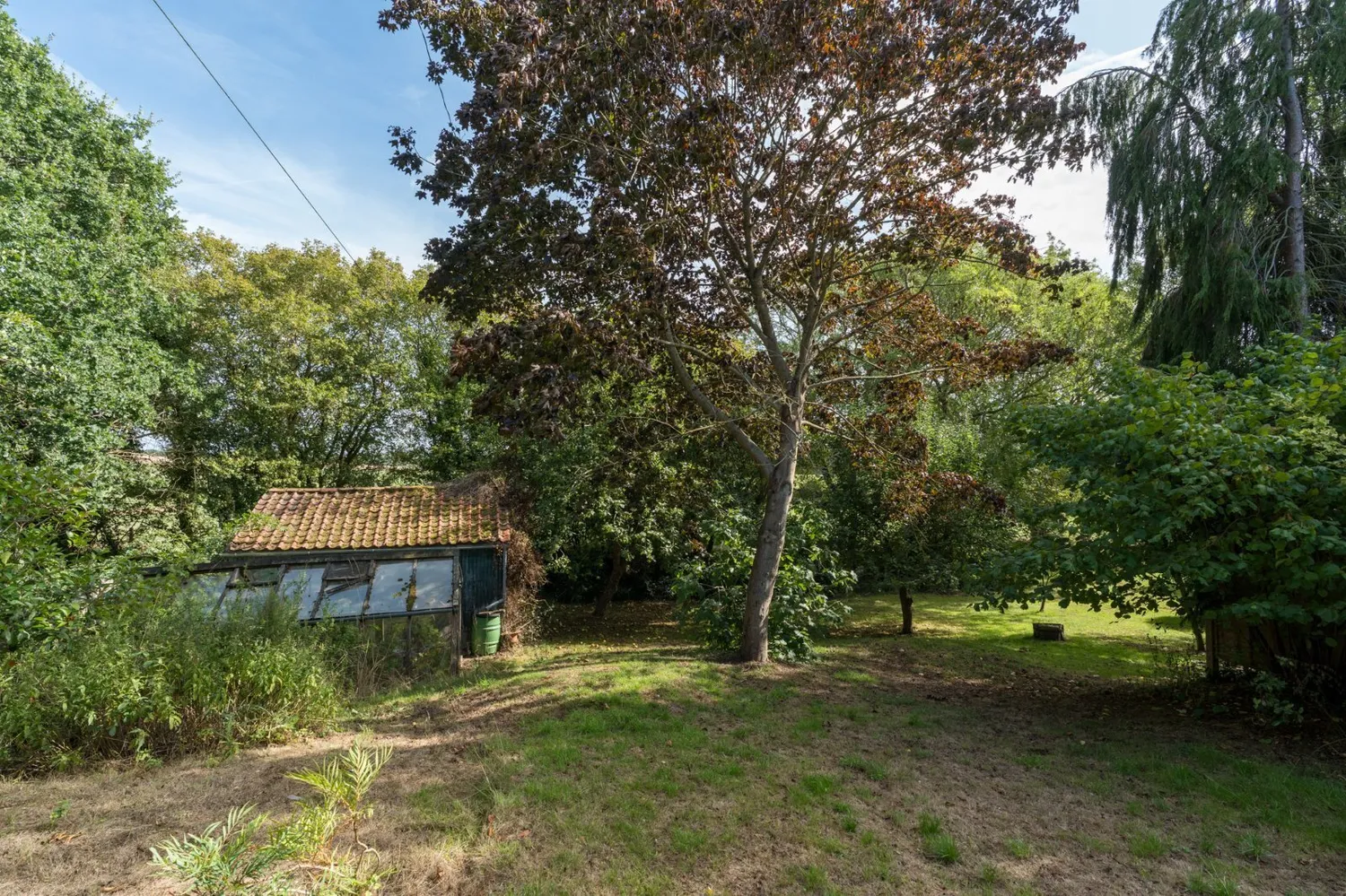 Bourne Road, West Bergholt, CO6 photo 36