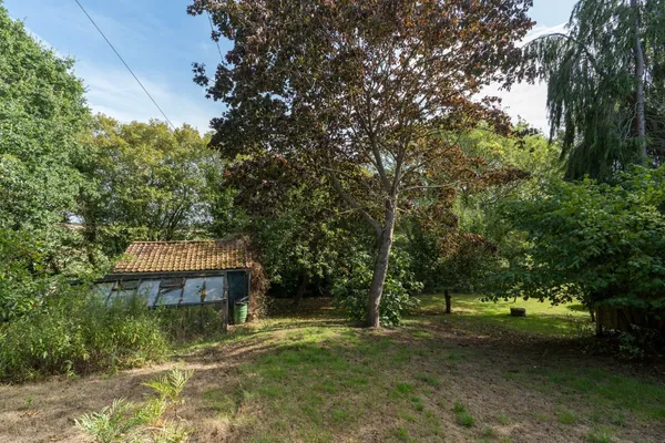 Bourne Road, West Bergholt, CO6 photo 36