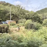 Property 4