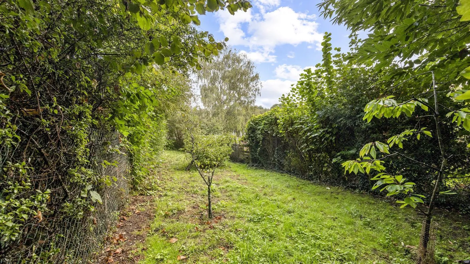 Property Photo 24