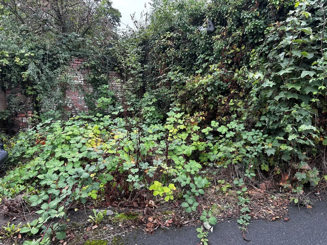 Property photo 15