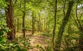 Property image gallery