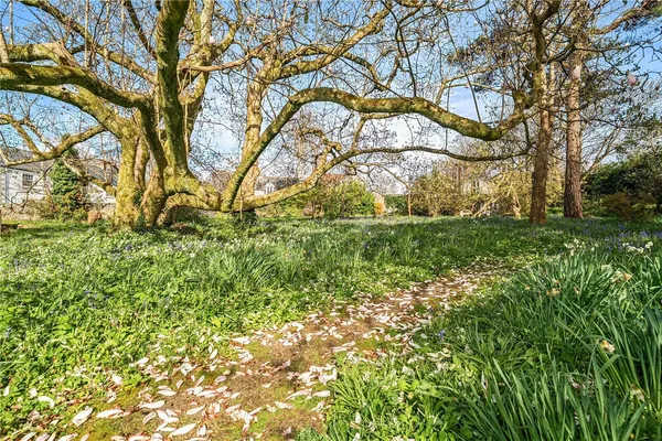 Holman Park, Camborne, TR14 photo 9