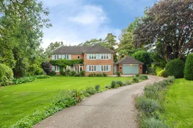 Property responsive