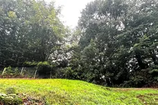 Frizley Gardens, Bradford