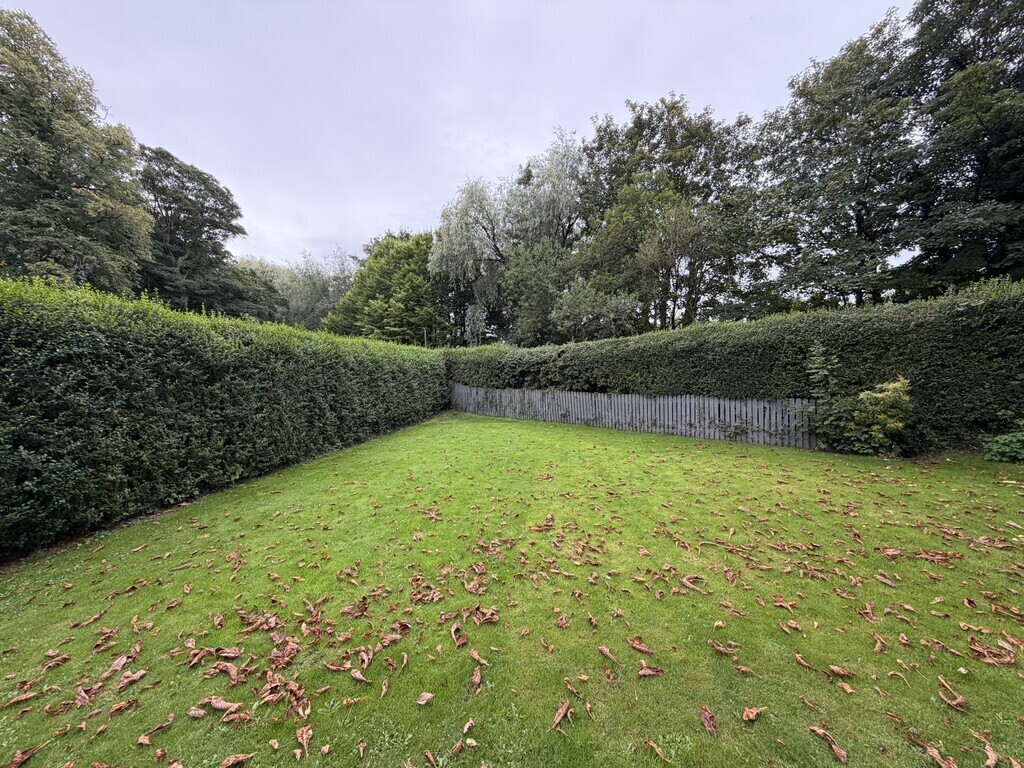Etterby Terrace, Stanwix Image 13