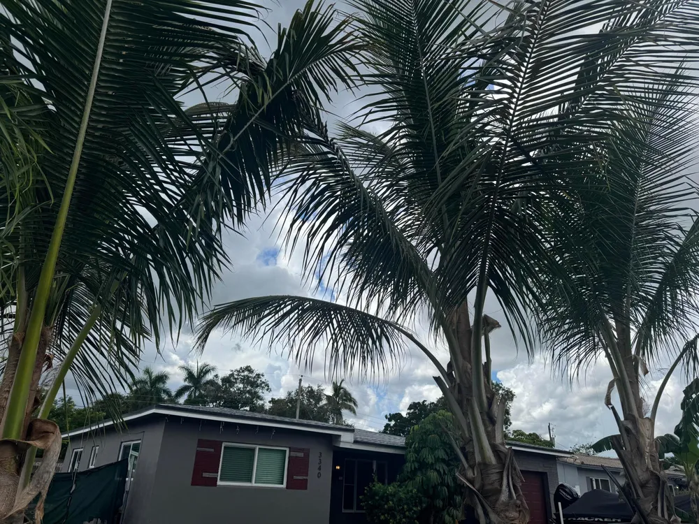 3340 SW 20th Ct, Fort Lauderdale, FL 33312