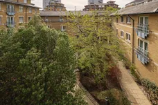 Admiral Walk, London, W9 photo 13