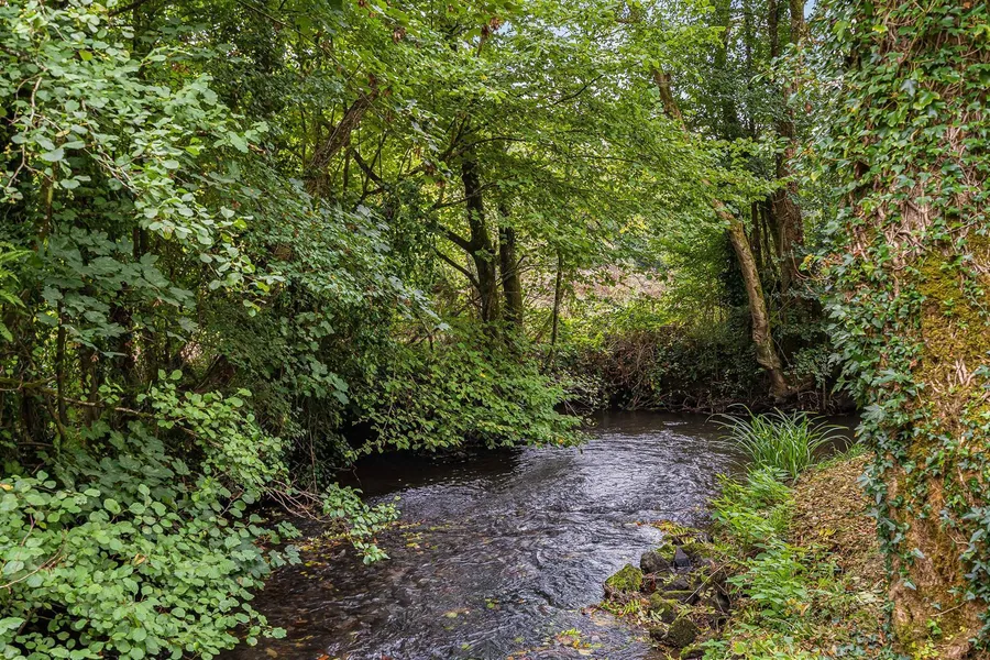 Property Image 61