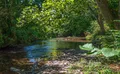 Property image gallery