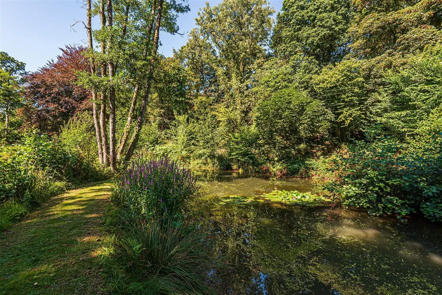 Property Image 55