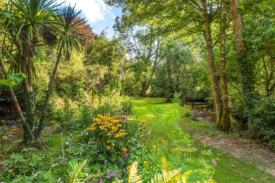 Property Image 56