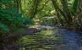 Property image gallery