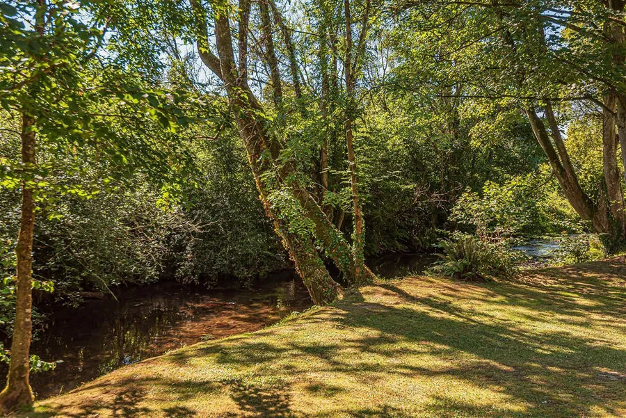 Property Image 58