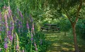 Property image gallery