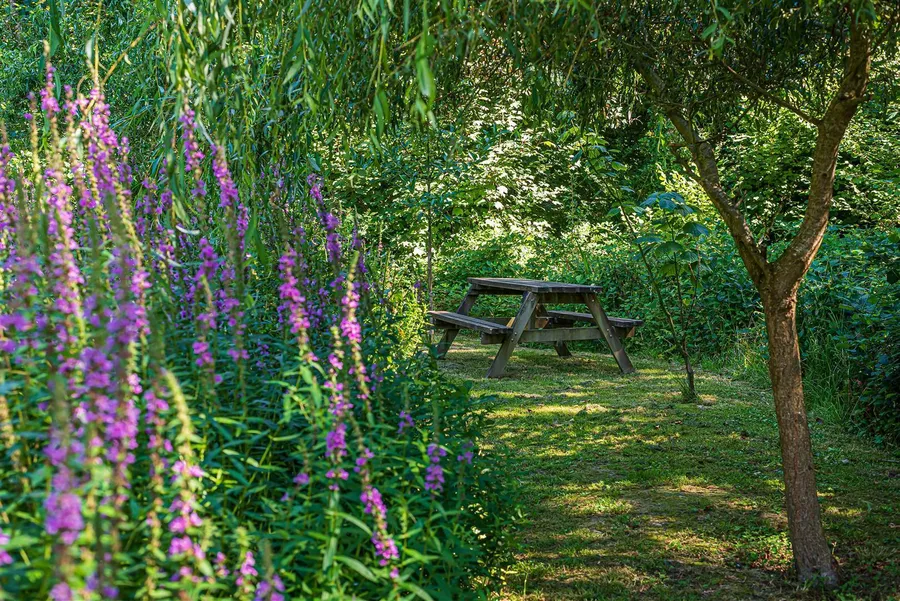 Property Image 59