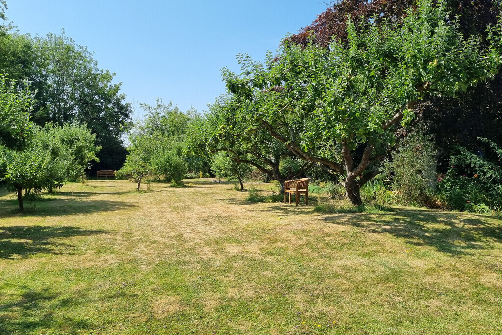 The Limes, Halesworth Image 13