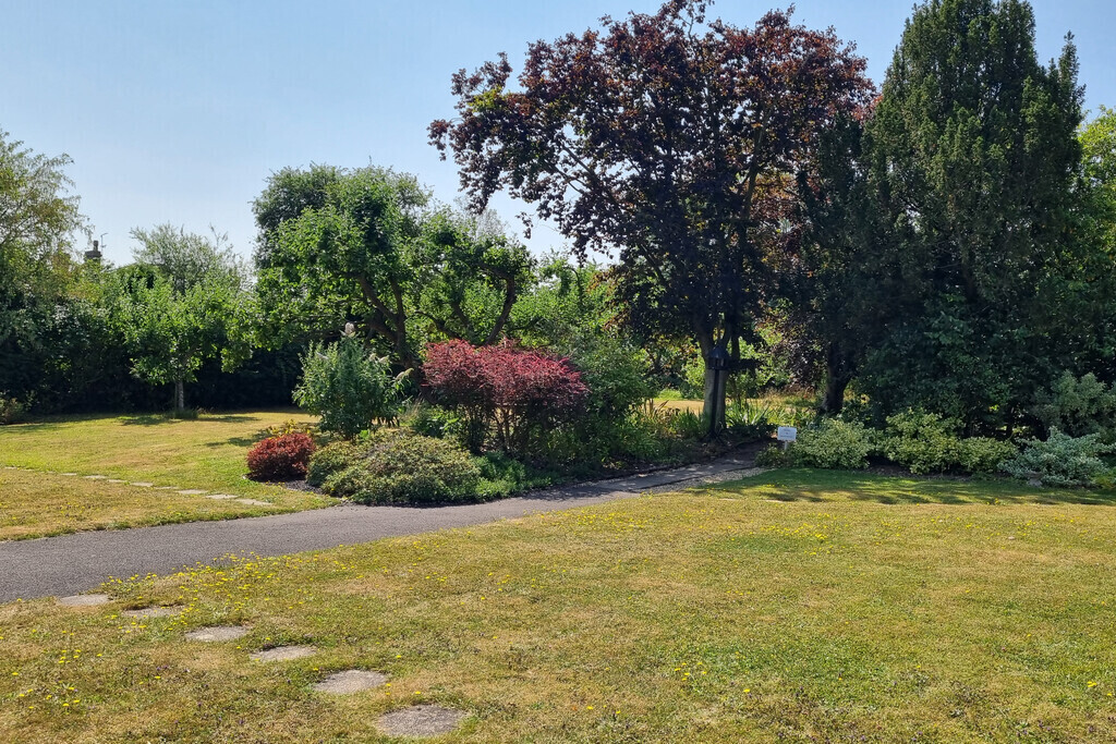 The Limes, Halesworth Image 16