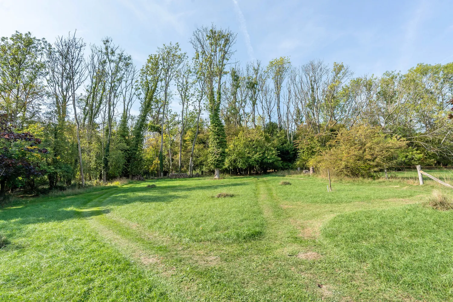 Dome Hill, Caterham, CR3 photo 14