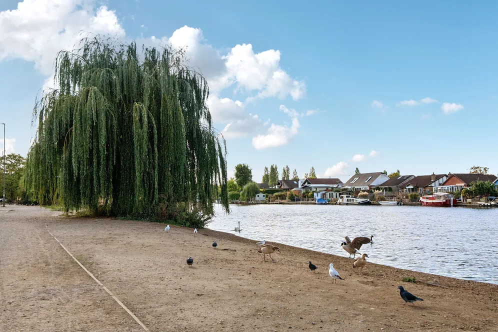 Jubilee Gardens, Weybridge, KT13 photo 19