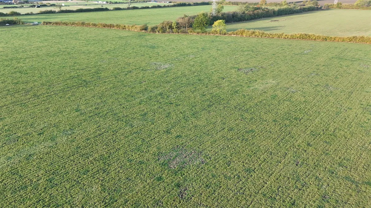 43.54 Acres of Land off Low Lane, Swinton, Malton