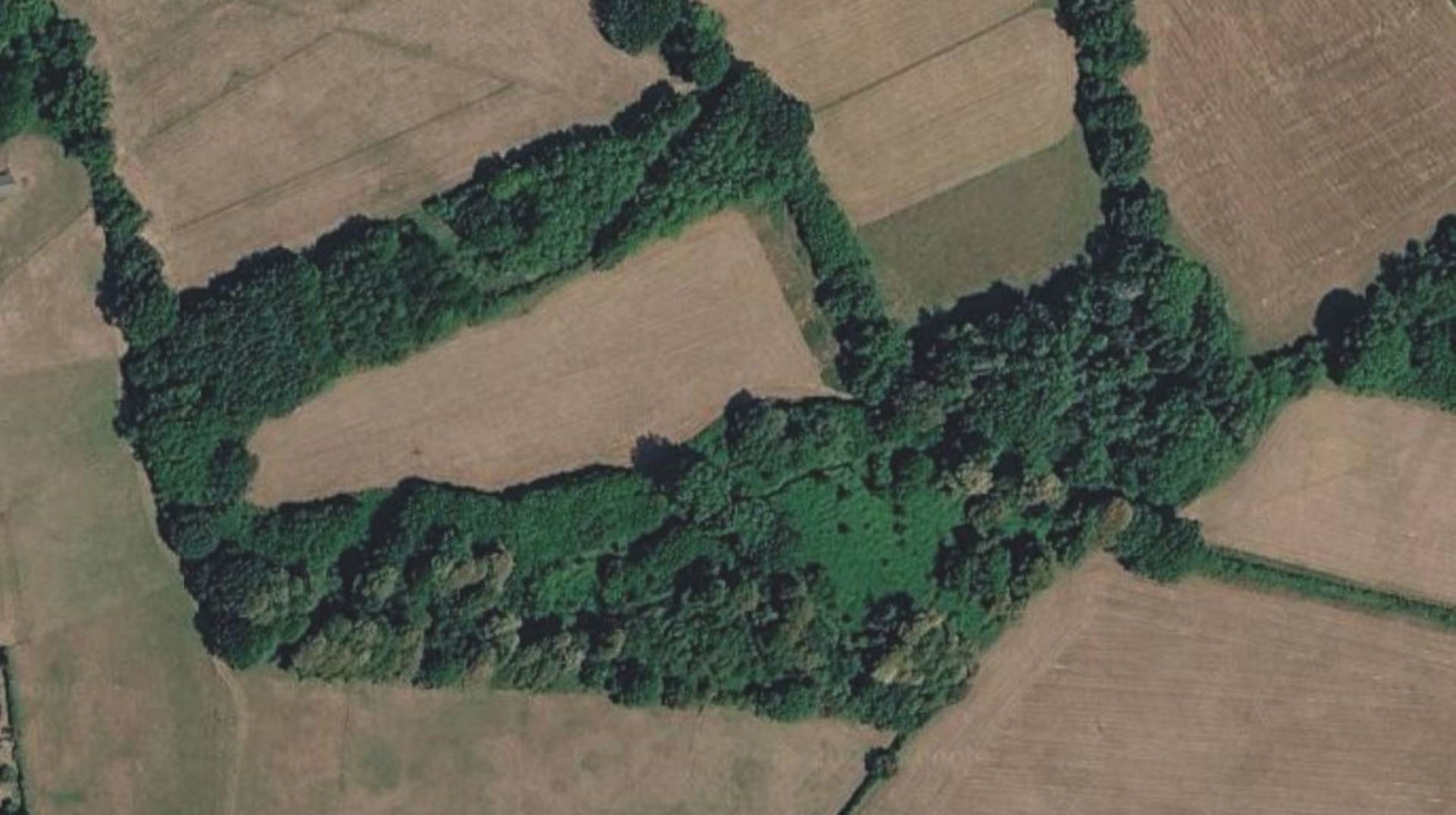 Lot 3 on Tote Hill, Lockerley Image 1