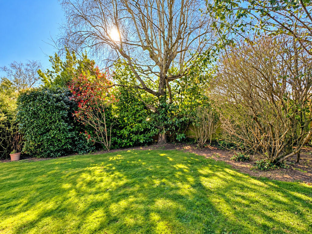 Summerfield, Sidmouth Image 14