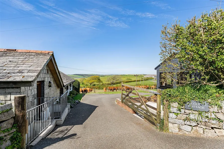 Property Image 40