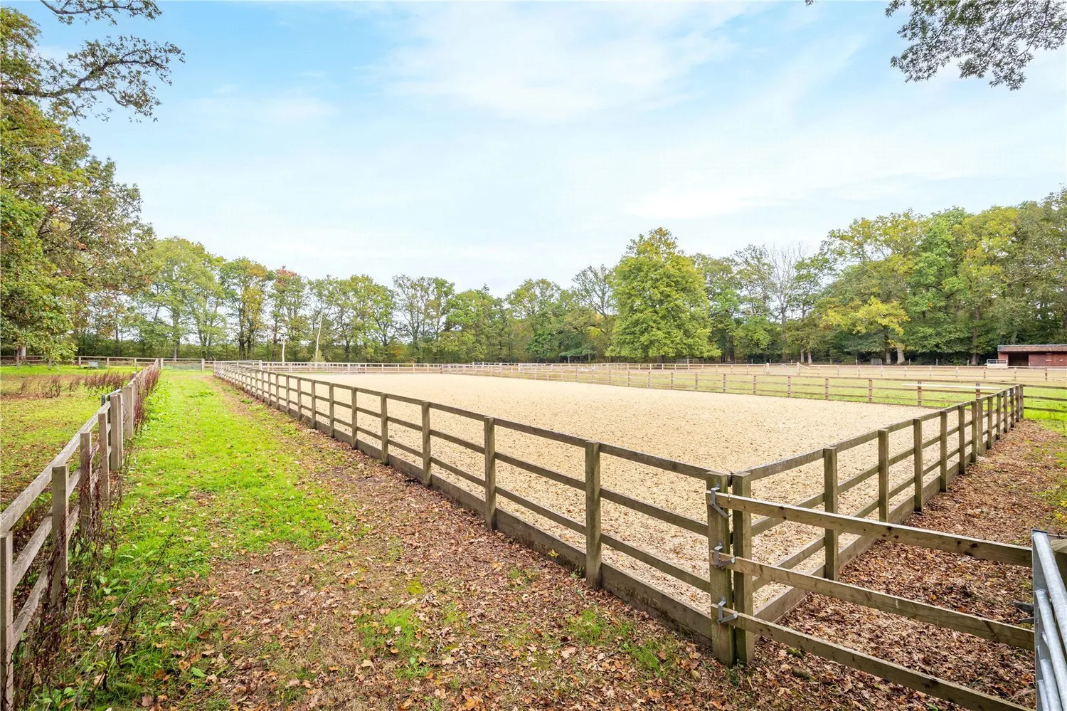 High Street Green, Chiddingfold, GU8 photo 16