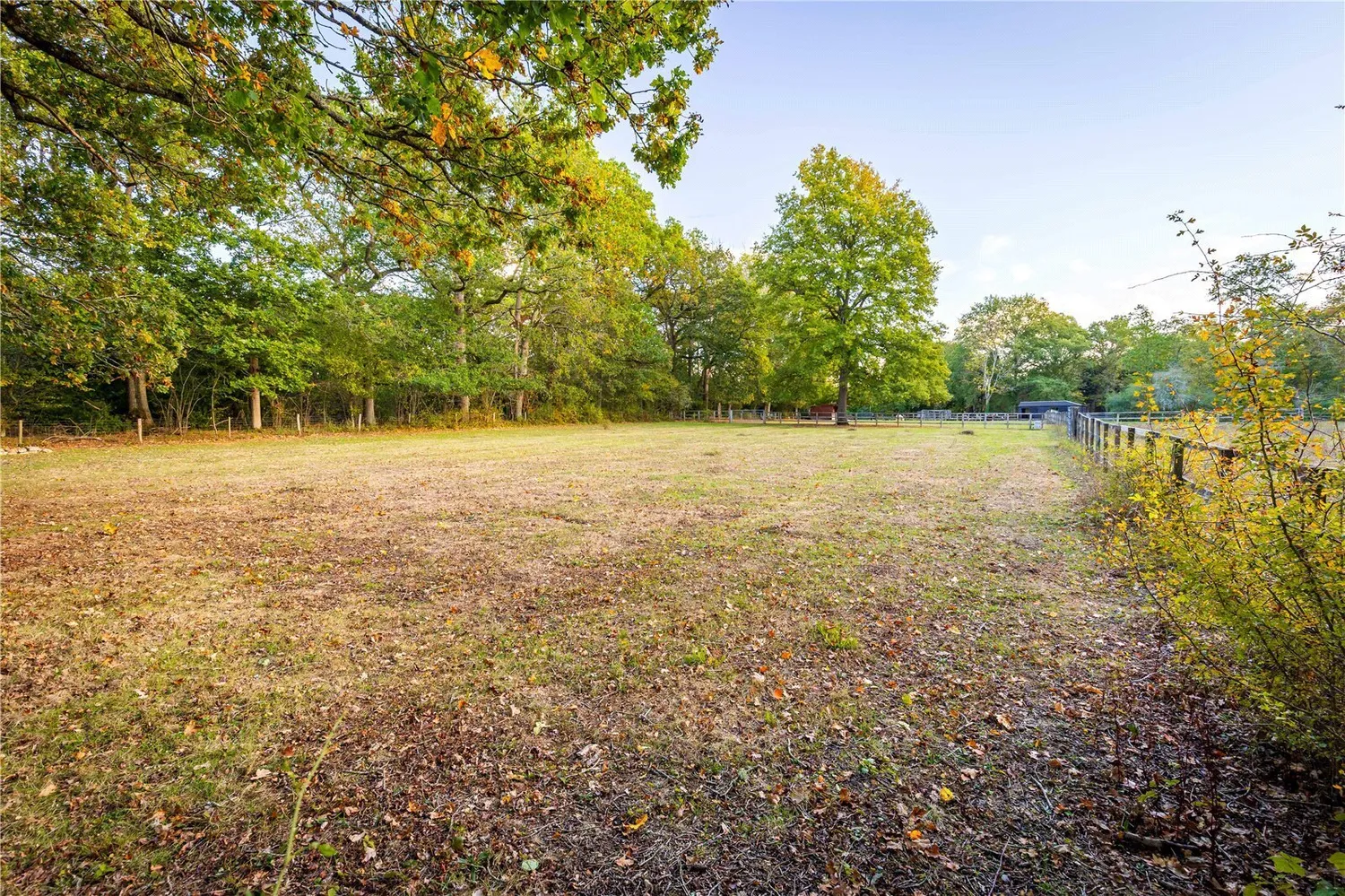 High Street Green, Chiddingfold, GU8 photo 17