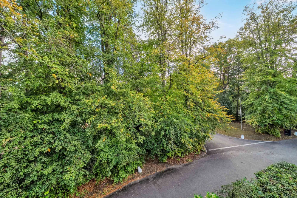 London Road, Sunningdale, SL5 photo 14