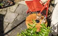 Property image gallery