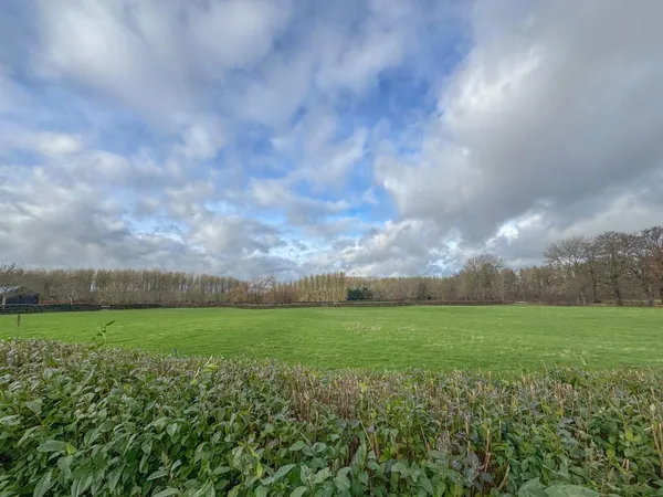 Plantation Stud Cottages, Plantation Stud, CB8 photo 19