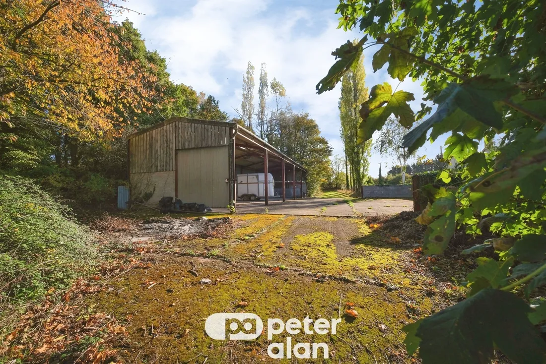 Property photo 40