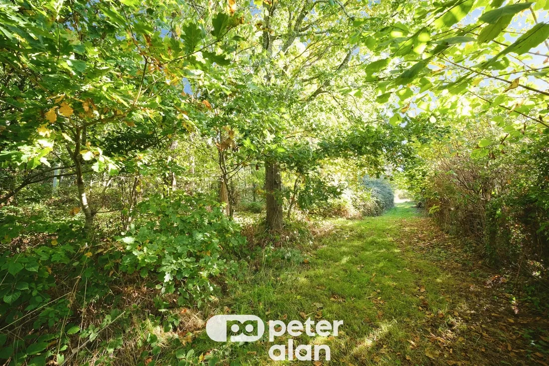Property photo 47