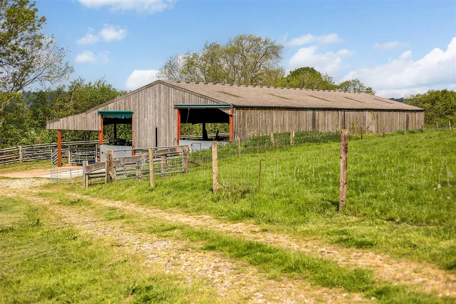 Property Image 33