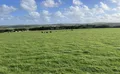Property image gallery