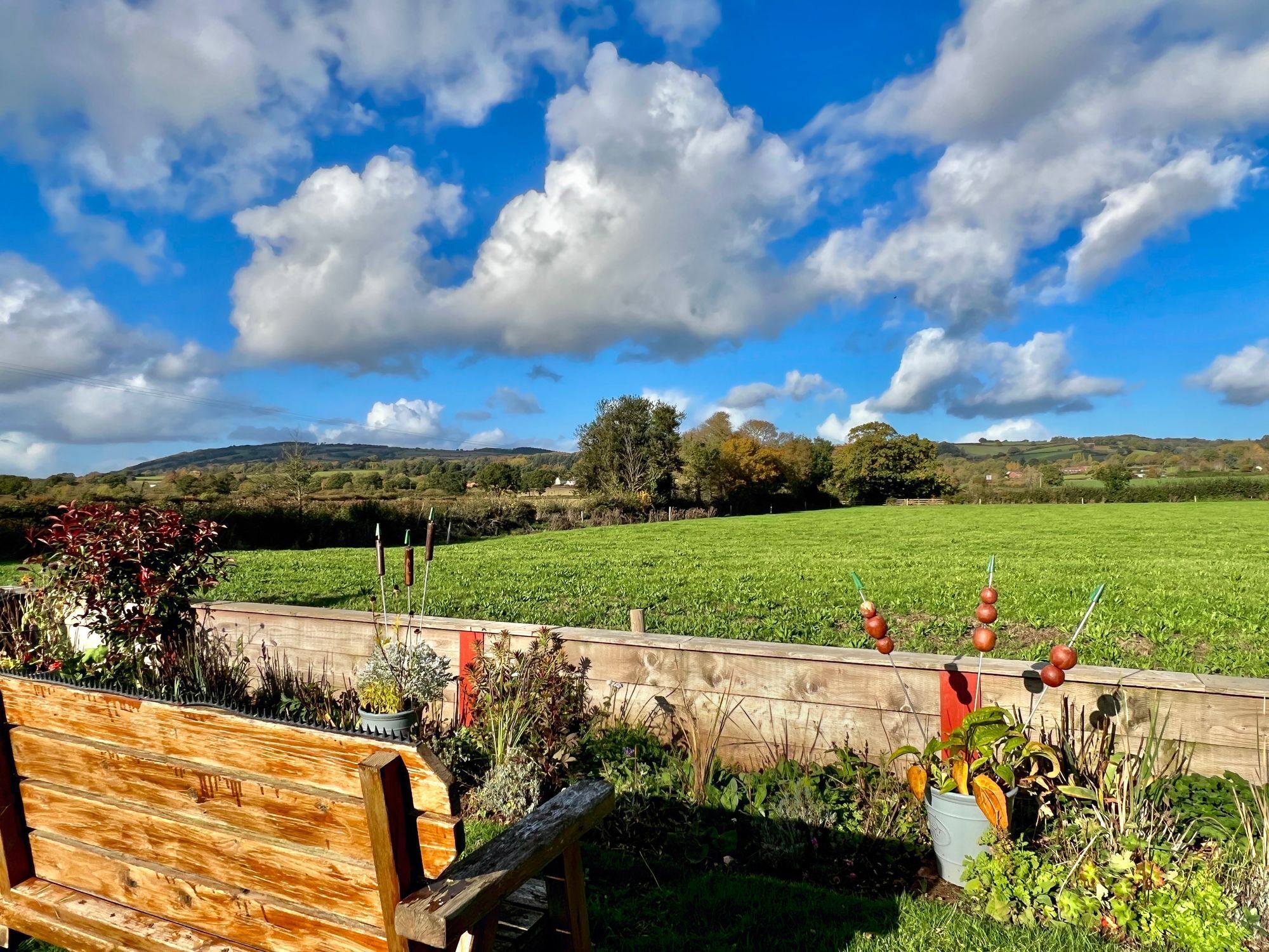 Nailsbourne, Taunton, TA2 Image 34