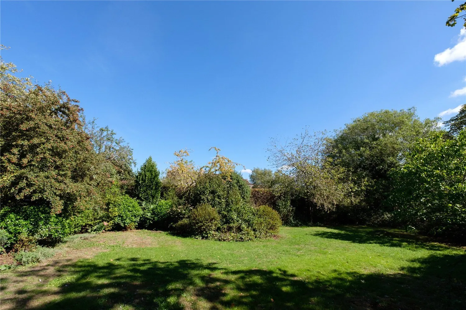 The Avenue, Sherborne, DT9 photo 18