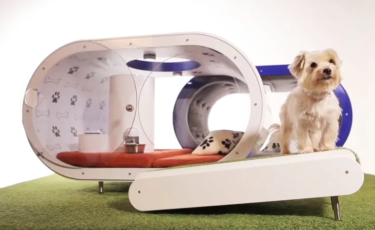 In the Dog’s House – All £20,000 of it hero