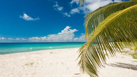 Discover Barbados