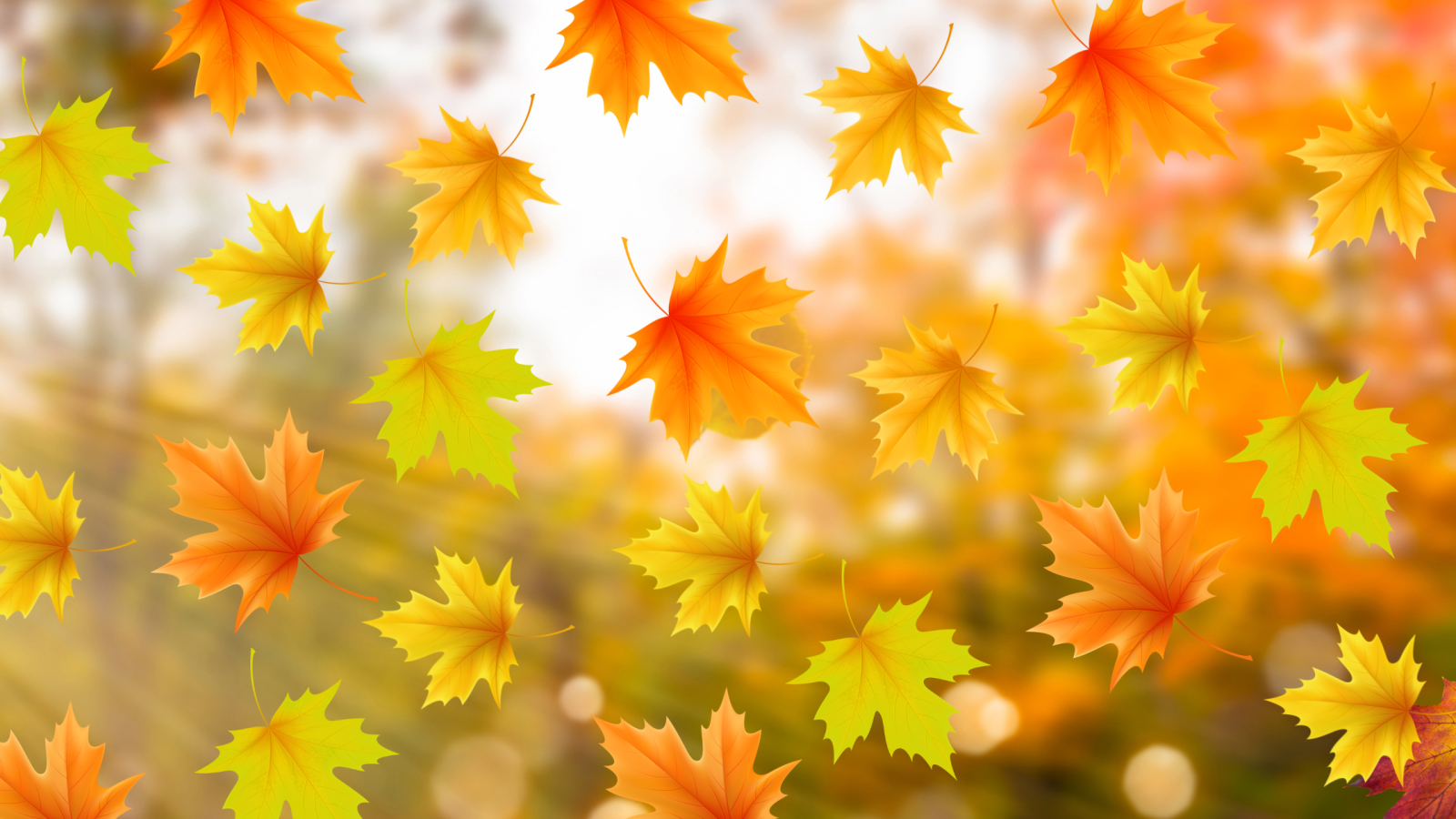 Properties for sale in Peterborough, Cambridgeshire