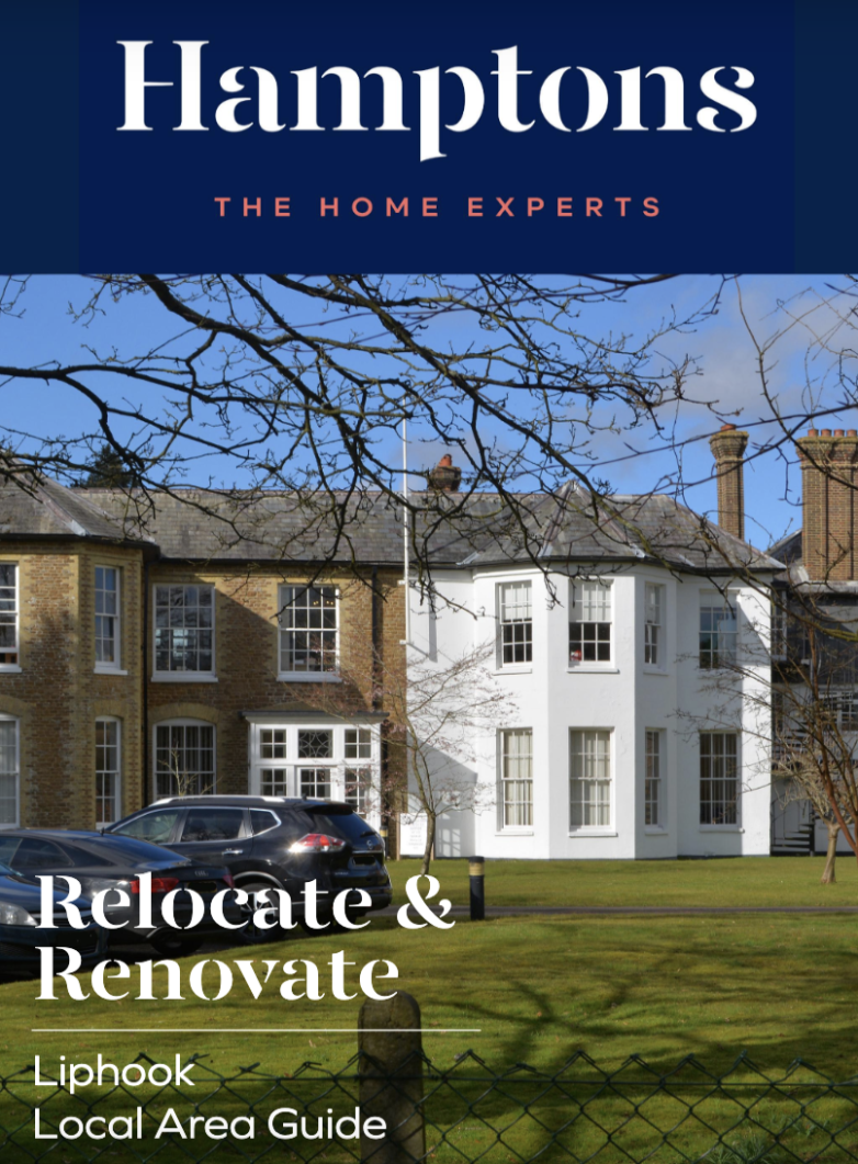 Liphook Lab Guide at Arvilla Bradley blog