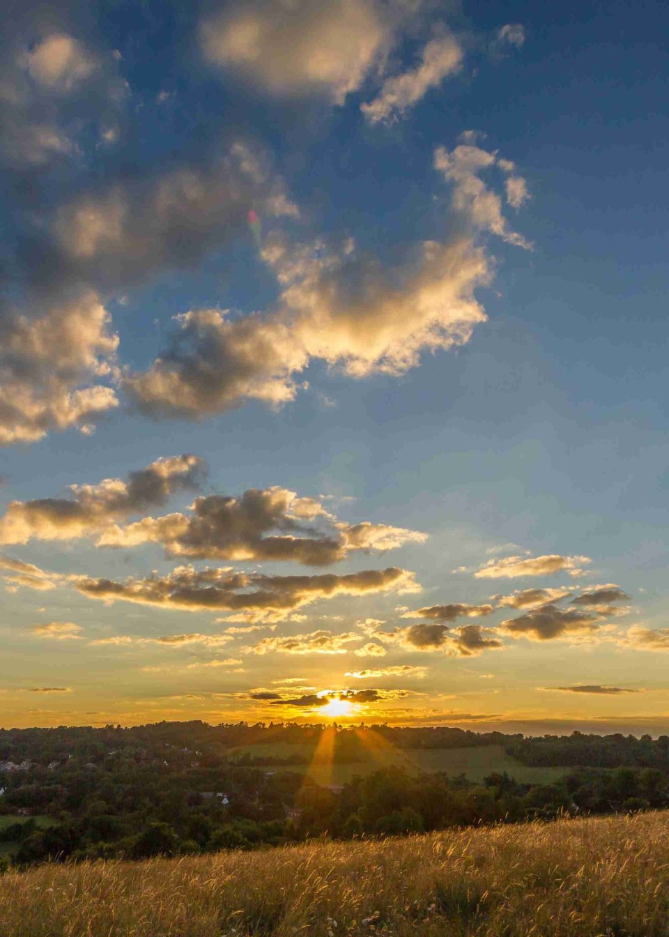 Caterham Area Guide Hamptons Estate Agents