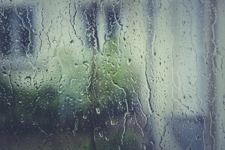 Understanding and Managing Condensation in Your Home hero